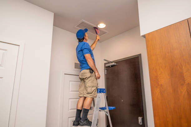 Best Ventilation Cleaning Services  in Ionia, MI